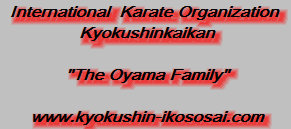 kyokushin_karate_school_of_the_serpent_2010004007.jpg